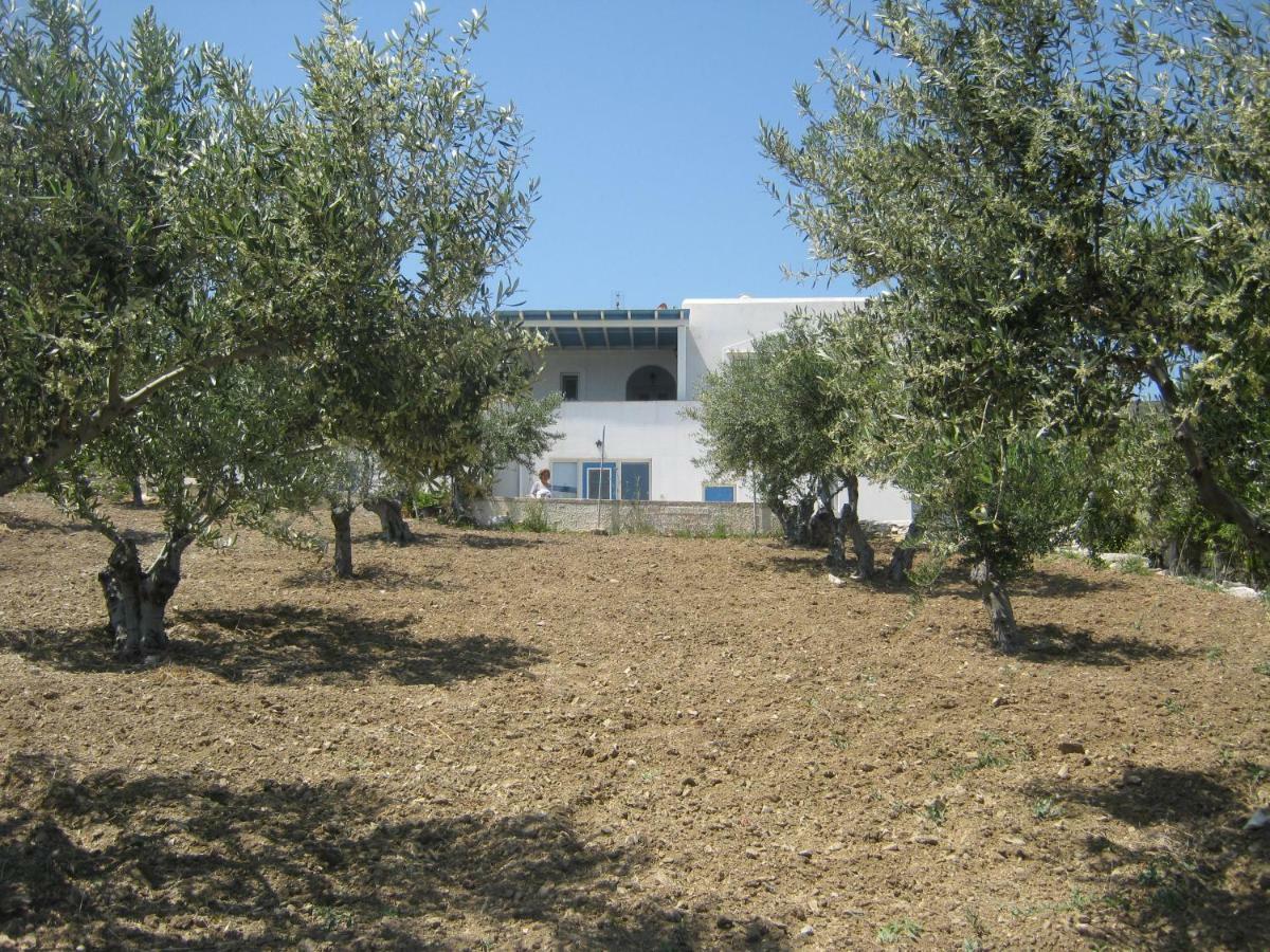 Villa Kafkis House, Paros Dhragoulas Esterno foto